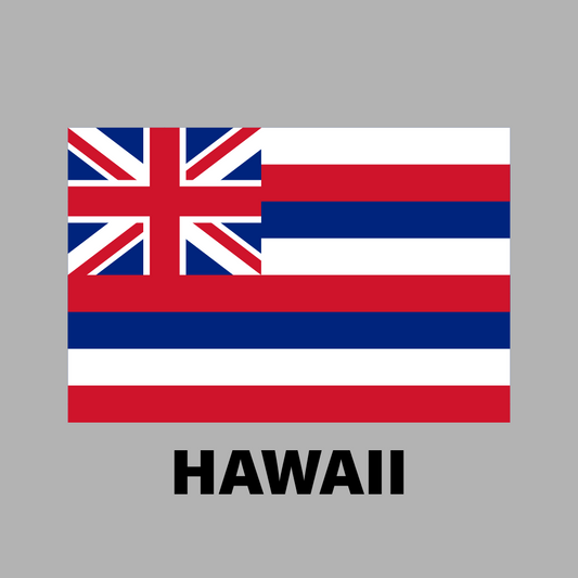 Hawaii State Flag