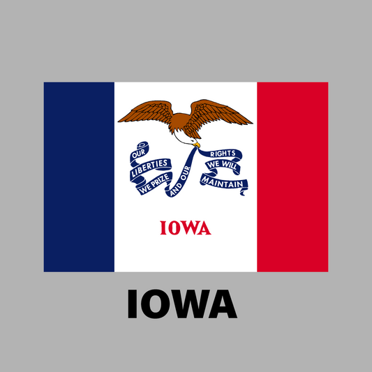 Iowa State Flag